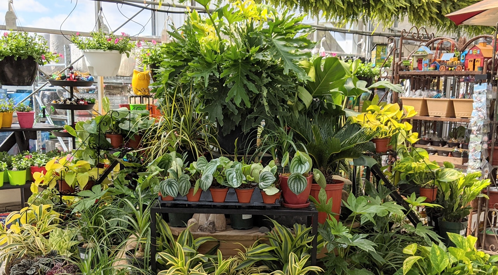 Indoor Living